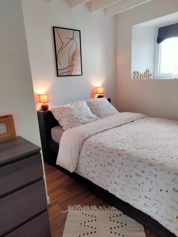 Gite 3 Chambres En Bord De Rance La Ville-es-Nonais Exterior photo
